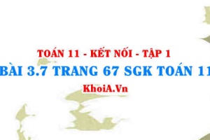 Bài 3.7 trang 67 SGK Toán 11 tập 1 Kết nối tri thức